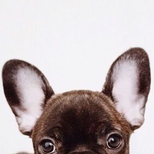 Meet your Posher, Trisha